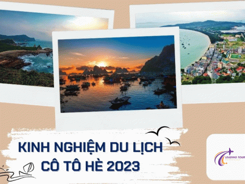 Kinh nghiệm du lịch Cô Tô hè 2023