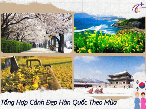 Tổng hợp cảnh đẹp Hàn Quốc theo mùa