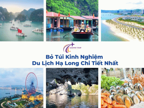 Bỏ Túi Kinh Nghiệm Du Lịch Hạ Long Chi Tiết Nhất