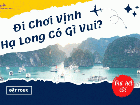 Đi Chơi Vịnh Hạ Long Có Gì Vui?