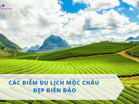 Các Điểm Du Lịch Mộc Châu Đẹp Điên Đảo