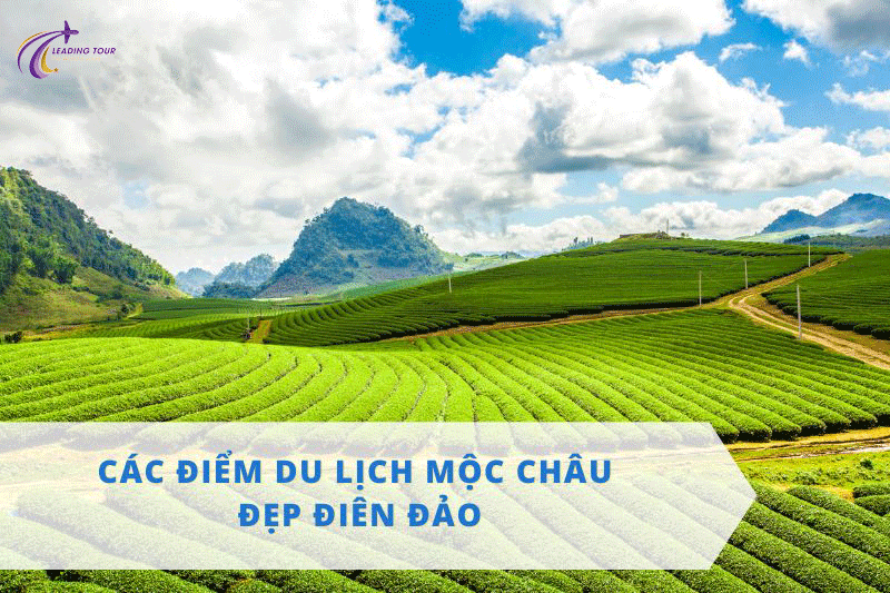 Các Điểm Du Lịch Mộc Châu Đẹp Điên Đảo